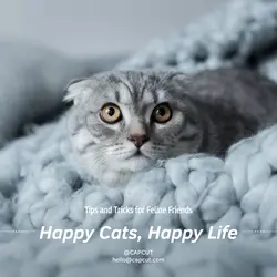 Pet industry Instructions