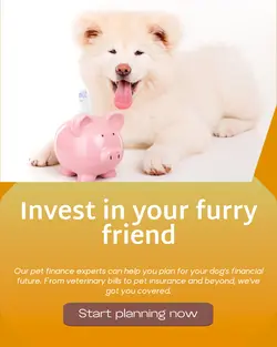 Pet industry General