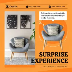 household  single sofa activity modern