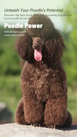 Pet industry General