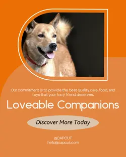 Pet industry General
