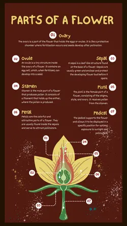 Non-marketing Infographics