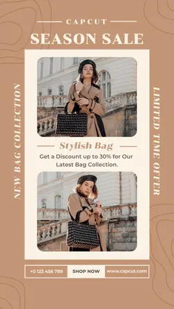 Women Bag Fashion Product Display TikTok Post