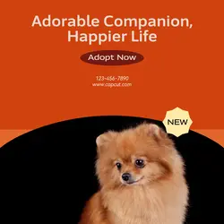 Pet industry General
