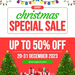 Christmas Promotion Sale