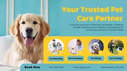 Pet Care Display Twitter Post