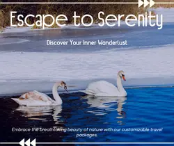 Travel industry General