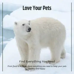 Pet industry General