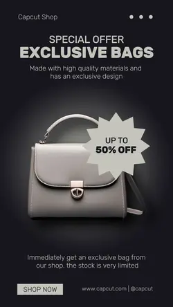 Fashion Bag Sale Instagram Story