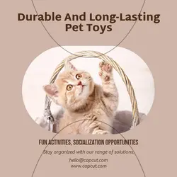 Pet industry Effect Display