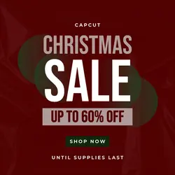 Christmas Sale