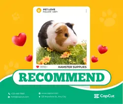 Pet supplies Personal sharing show simple style