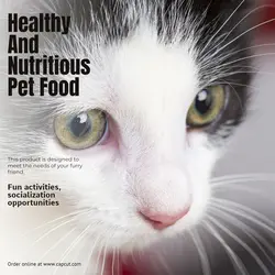 Pet industry Effect Display