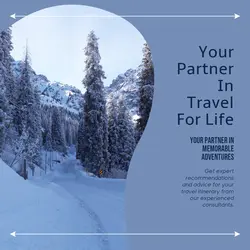 Travel industry Business