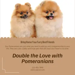 Pet industry General
