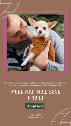 Pet industry Personal introduction
