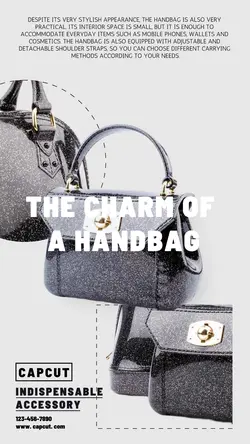 Clothing & Shoes Blogger endorsement bag weak mar
