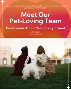 Pet industry Team introduction