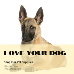 Pet industry General