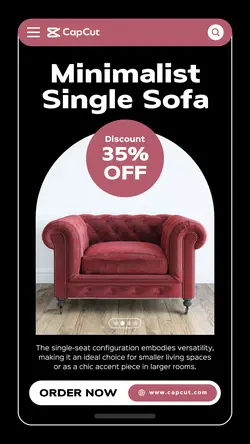 Minimalist Single Sofa Promotion Instagram Story