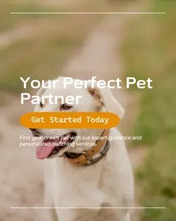 Pet industry General