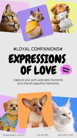 Pet& photograph Branding
