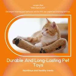 Pet industry Effect Display
