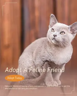 Pet industry General