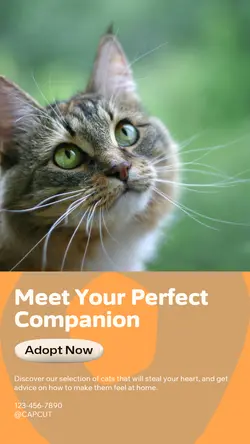 Pet industry General