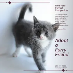 Pet industry General