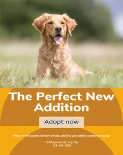Pet industry New arrivals