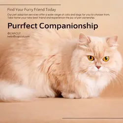 Pet industry General