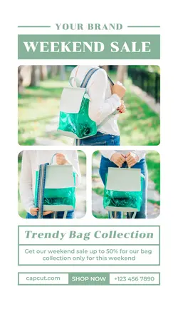 Fashion Women Bag Promotion TikTok Post