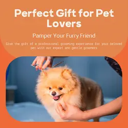 Pet industry Gift