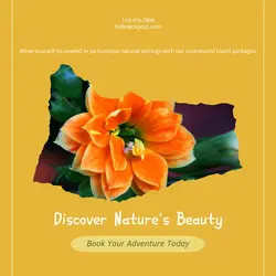 Travel industry General