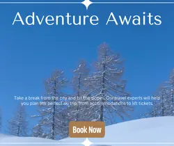 Travel industry General