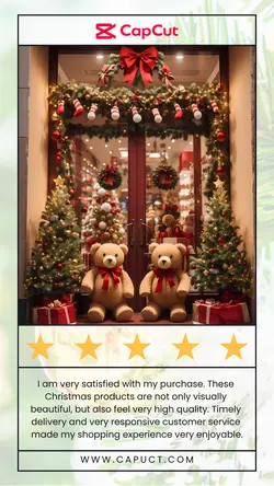 Customer Feedback Christmas Product Instagram Story