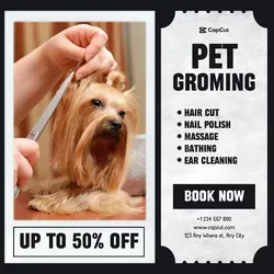 Pet Care Services Promotional Instagram Post
