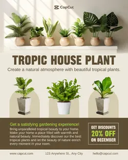 Household & Furniture Tropic House Plant Instagram