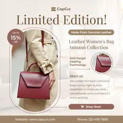 Fashion Women Bag Instagram Post Brown Minimalist