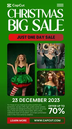Christmas One Day Sale Promotion Instagram Story