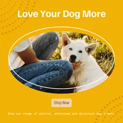 Pet industry Product display