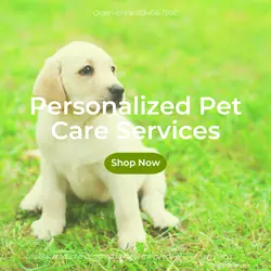 Pet industry Effect Display