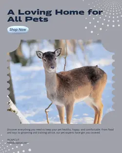 Pet industry General