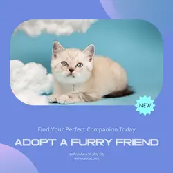 Pet industry General