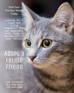 Pet industry General