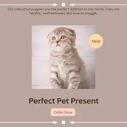 Pet industry Gift