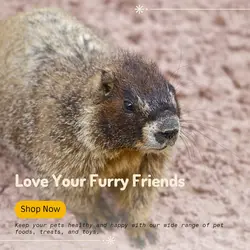 Pet industry General