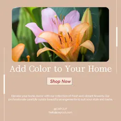 Home decor General