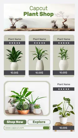 Minimalist design ornamental plant business template for Instagram Story